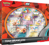 TCG Tera Brawlers Box